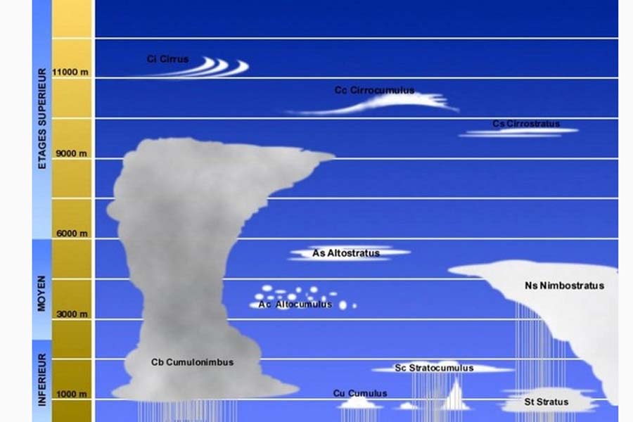 Perbandingan awan Kumulonimbus disingkat Cb, dengan awan lainnya di tiga tingkatan ruang awan. @National Geographic