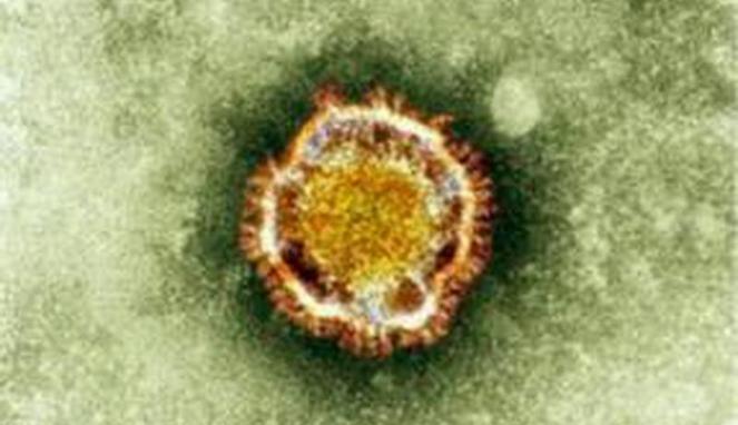 Virus corona dalam pantauan mikroskop. | REUTERS/VIVA.co.id